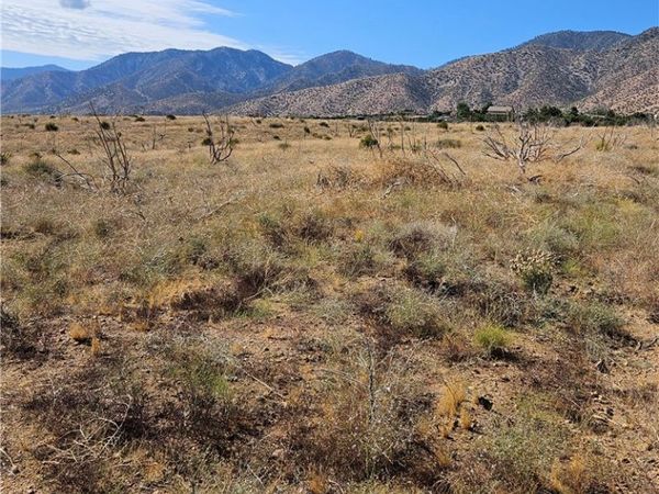 116 E Street East, Juniper Hills, CA 93543