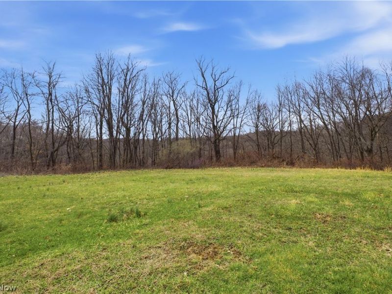 1348 Parshall Road, Wellsville, OH 43968 Photo 30