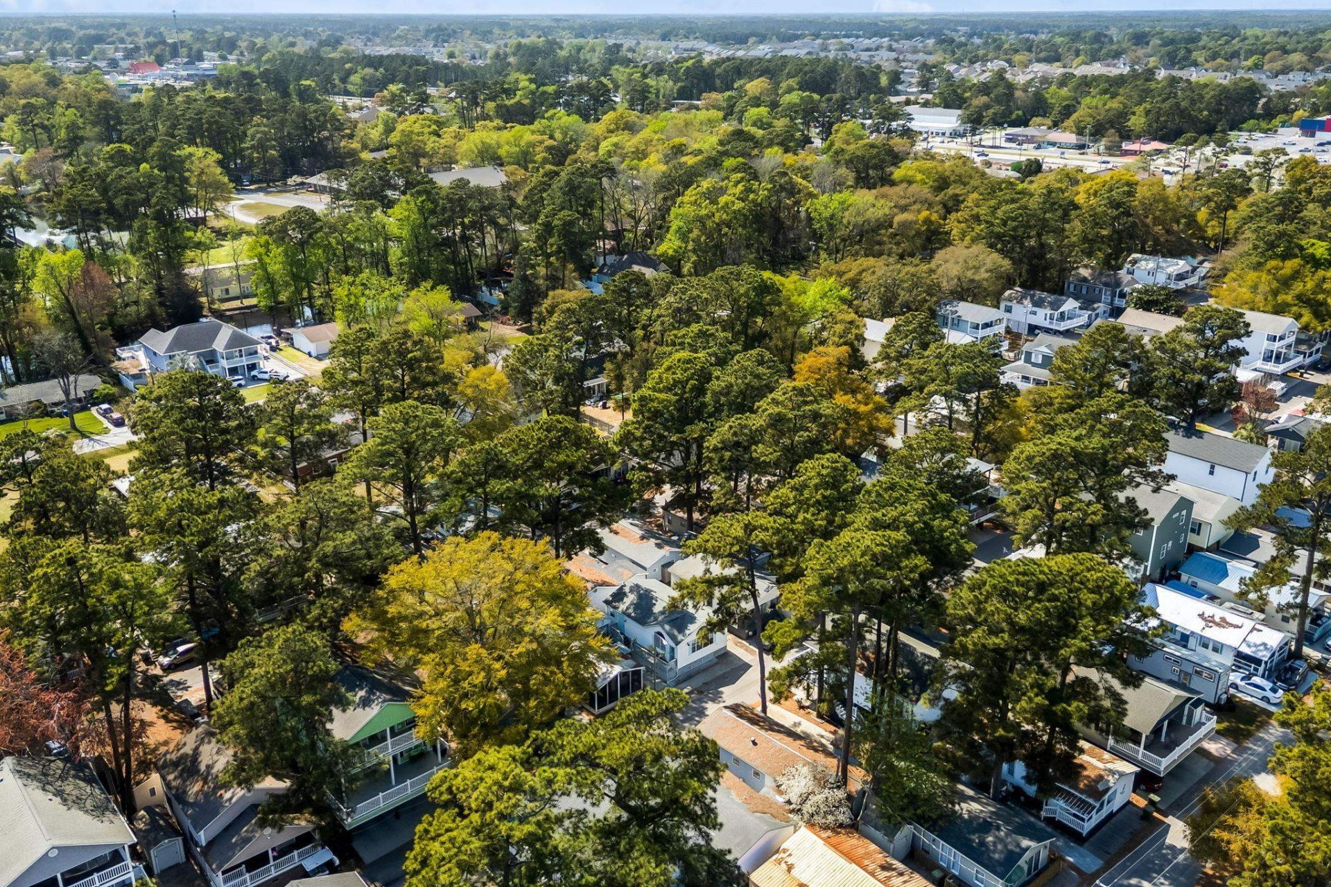 6001 - 1713 S Kings Hwy.  Photo 33