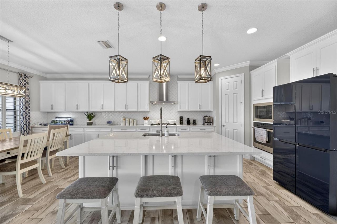 12444 Horseshoe Bend Drive, Lithia, FL 33547 Photo
