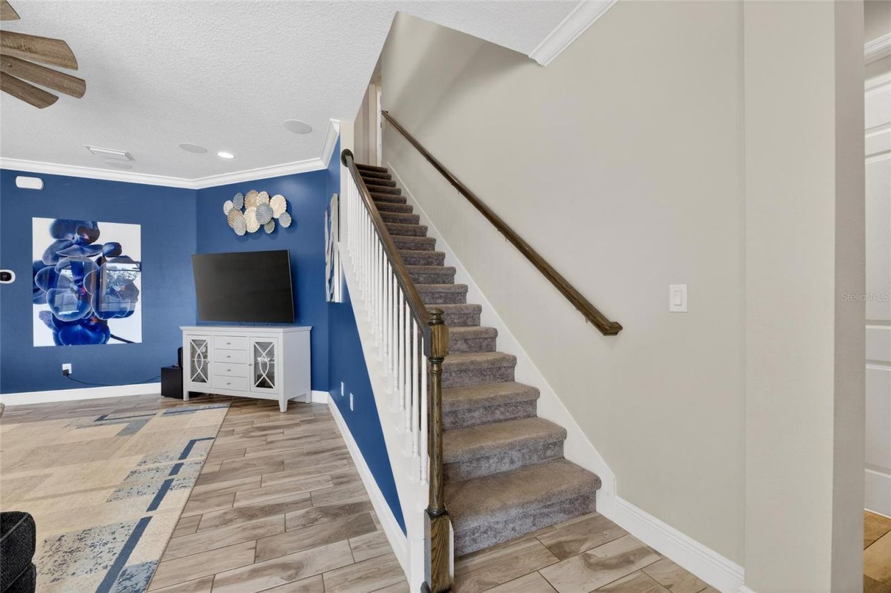 12444 Horseshoe Bend Drive, Lithia, FL 33547 Photo