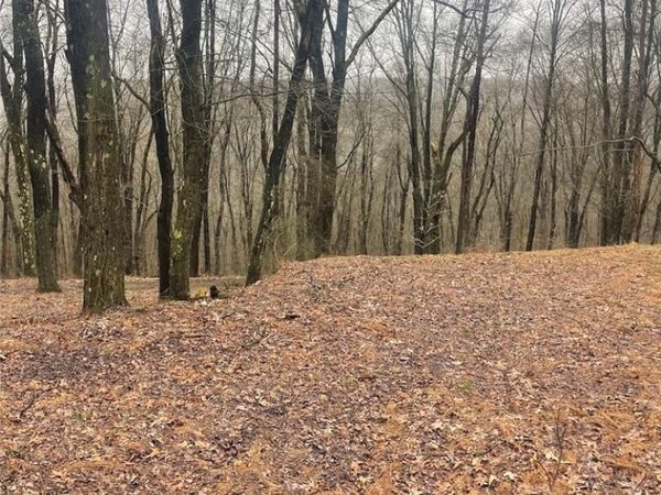 Lot 5 Blauser Lane , Petrolia, PA 16050