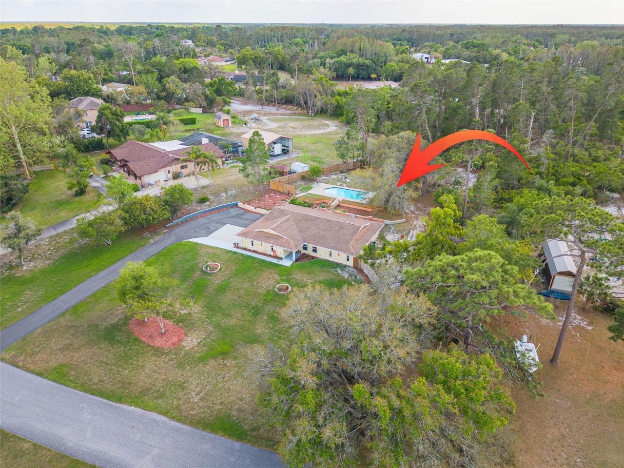 9720 Delray Drive, New Port Richey, FL 34654 Photo