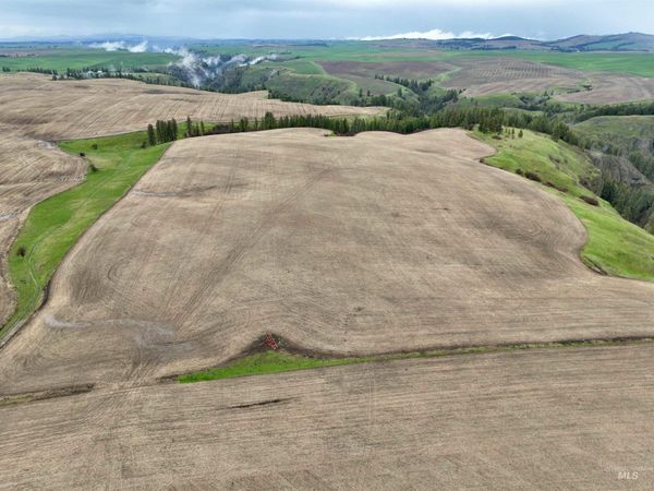 TBD Younger Rd, Craigmont, ID 83523