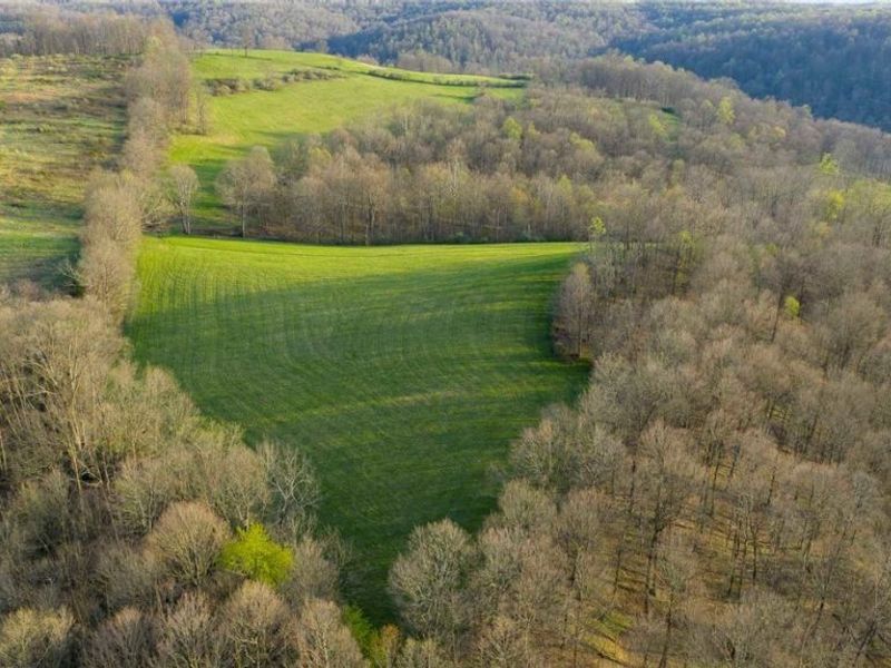 343 County Road 343, Warsaw, OH 43844 Photo 35