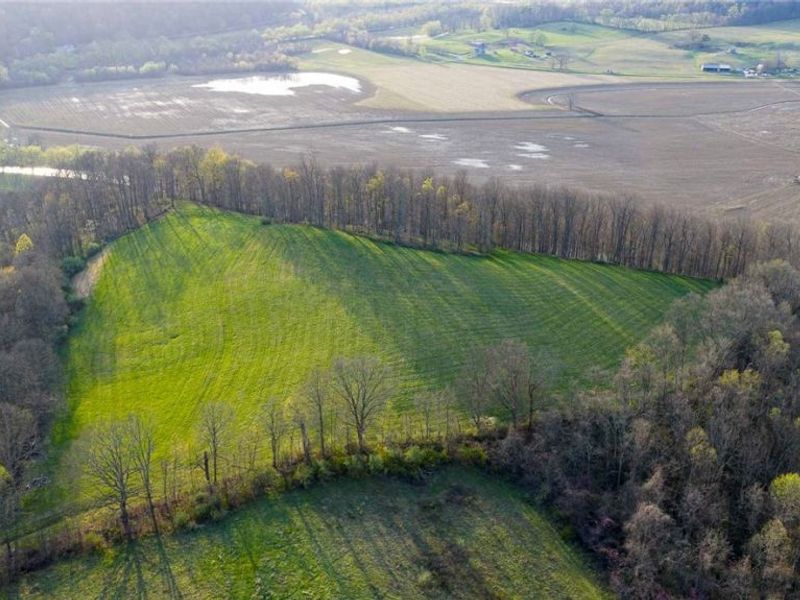 343 County Road 343, Warsaw, OH 43844 Photo 37