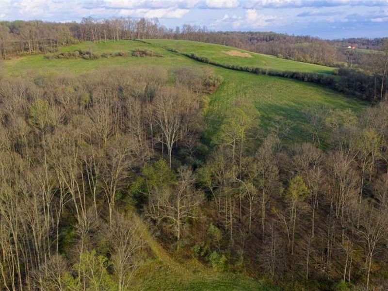 343 County Road 343, Warsaw, OH 43844 Photo 47