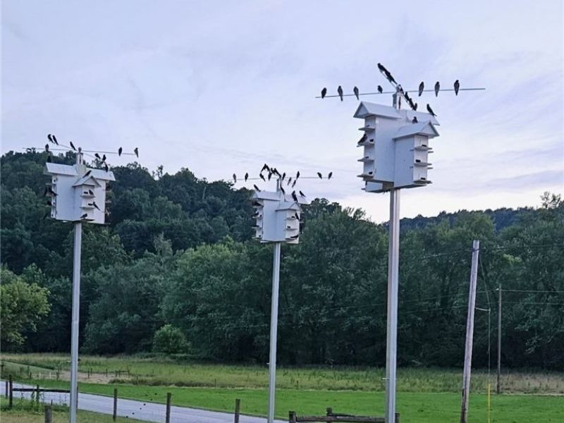 343 County Road 343, Warsaw, OH 43844 Photo 6