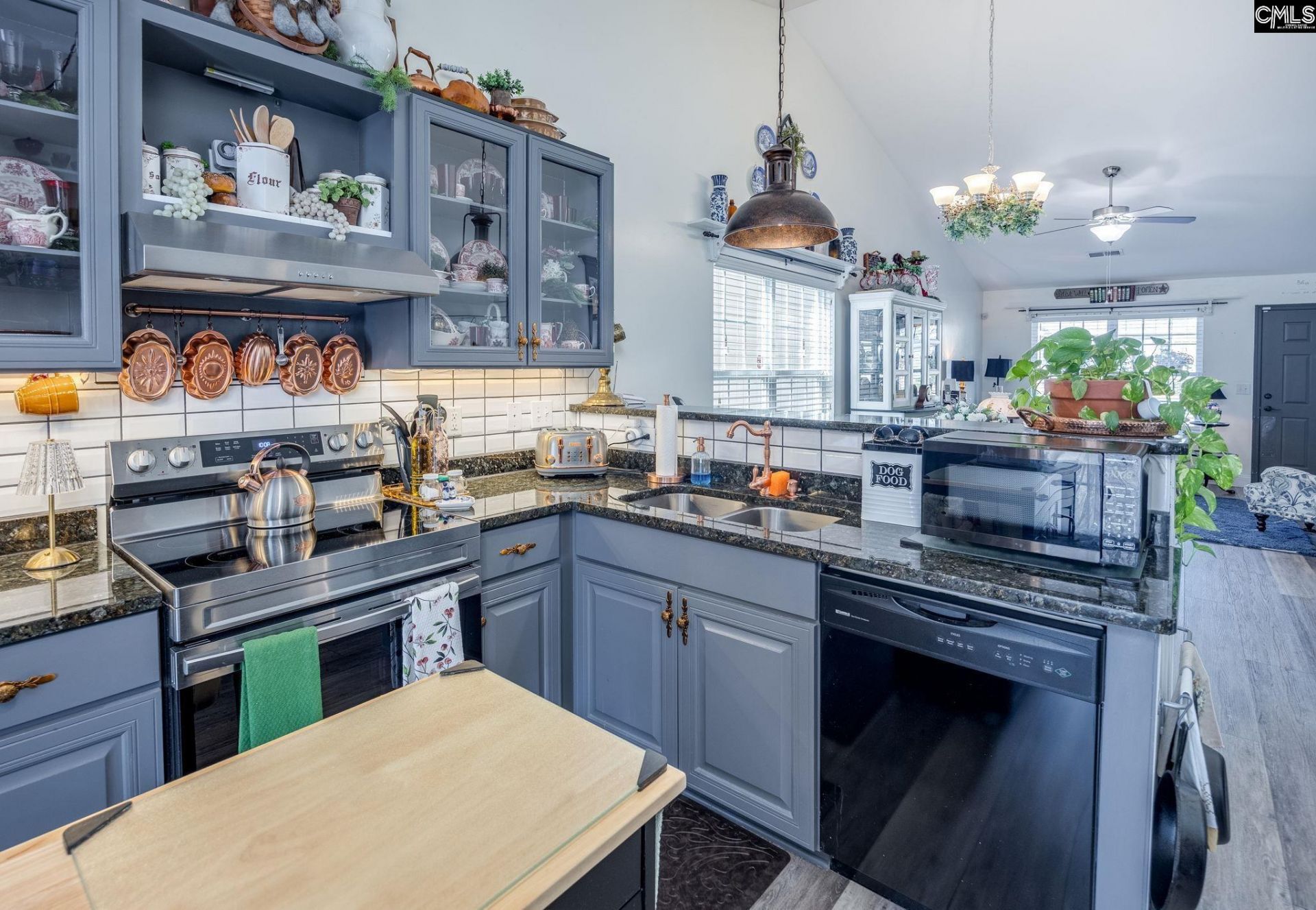 542 Dawsons Park Way Photo 17