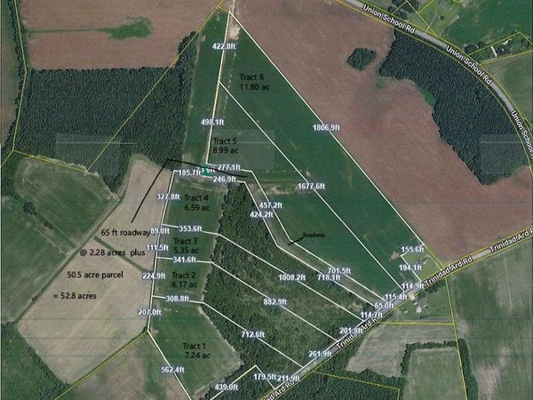 TBD Tract 1 Trinidad Ard Rd, Coward, SC 29530