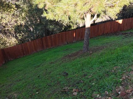 2840 Winesap Cir, Placerville, CA 95667 Photo