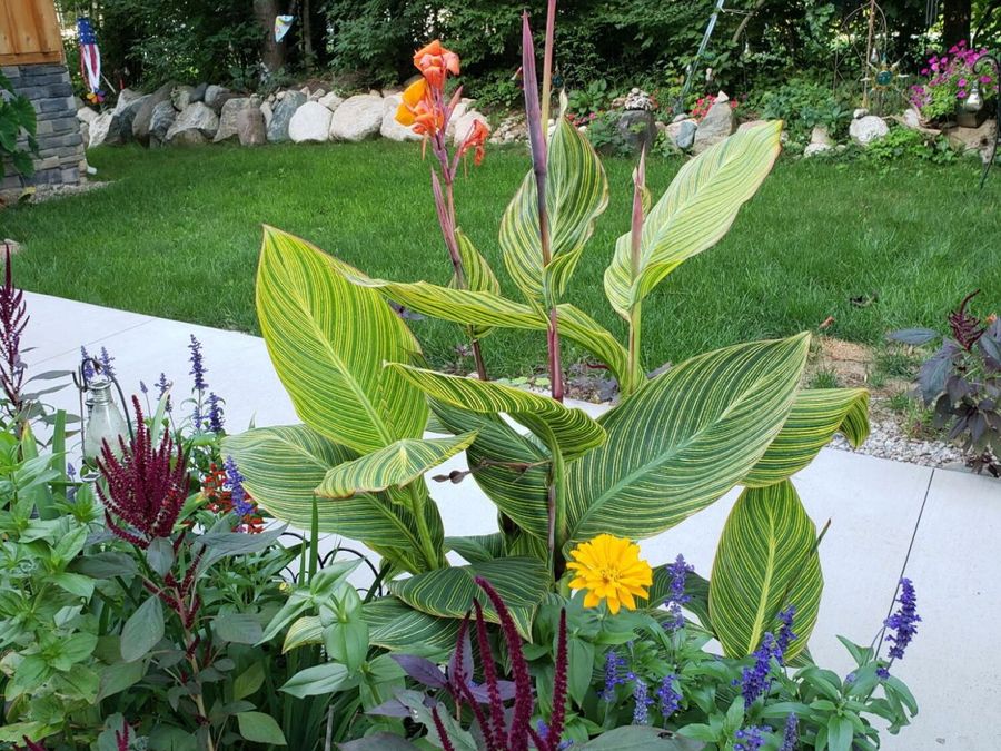 Property Image 35