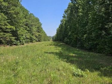 100 Ac W JAMES ANDERSON HWY, GLADSTONE, VA 24553