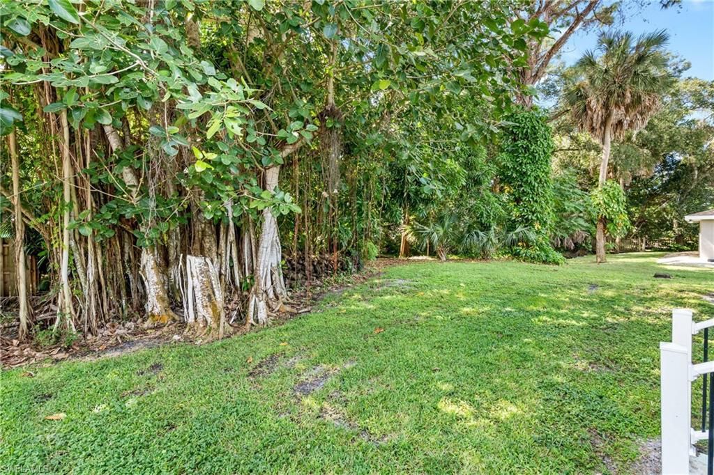 10004 Connecticut St , Bonita Springs, FL 34135 Photo