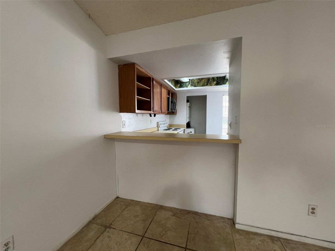 5112 Gainsville Drive, Temple Terrace, FL 33617 Photo