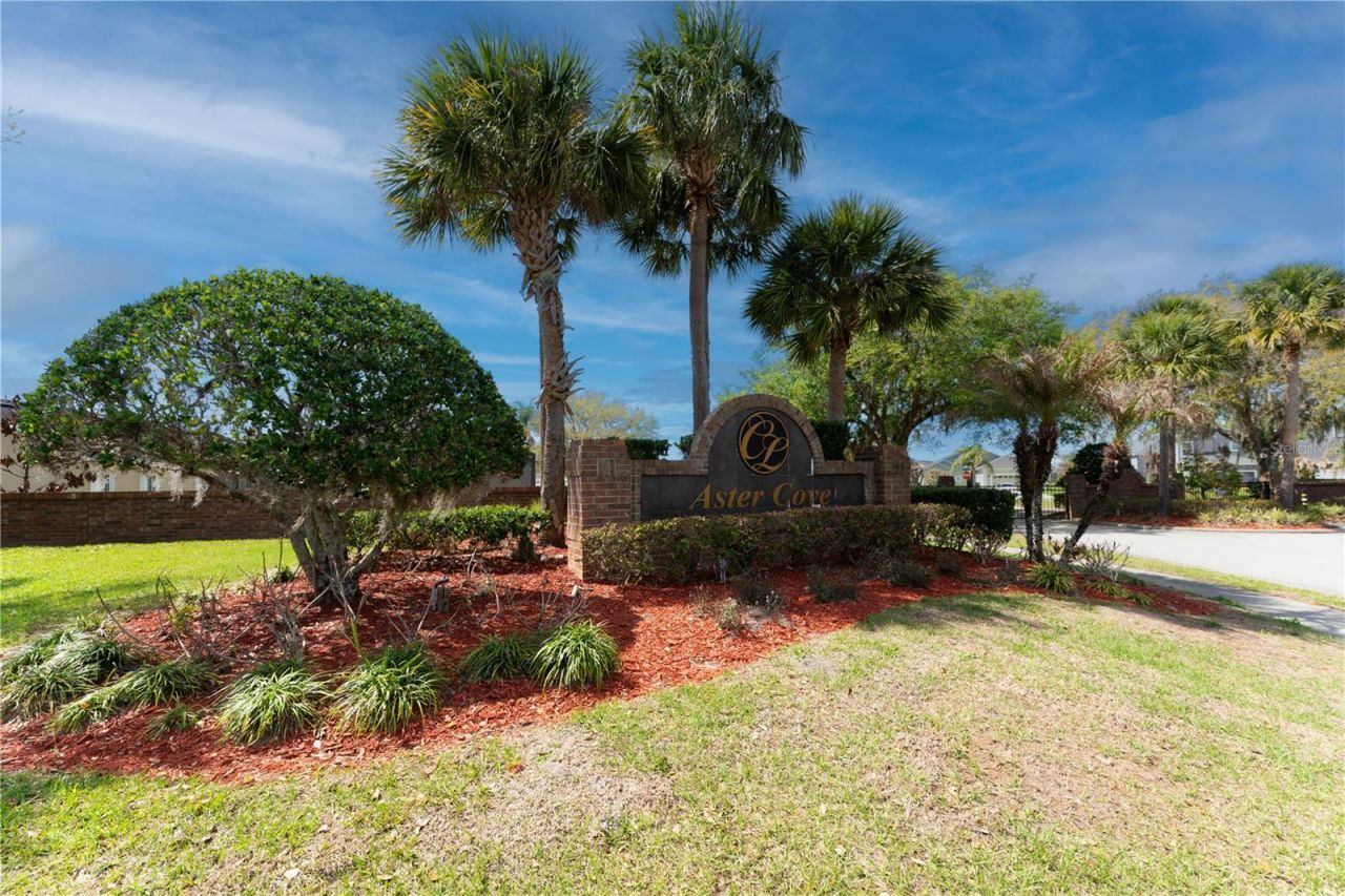 2563 Aster Cove Lane, Kissimmee, FL 34758 Photo