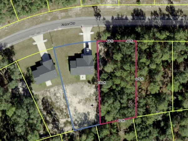 TBD FISHER WAY , OCKLAWAHA, FL 32179