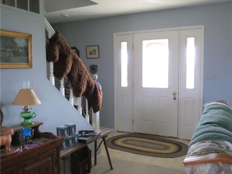 851 County Road 23, Quincy, OH 43343 Photo 6