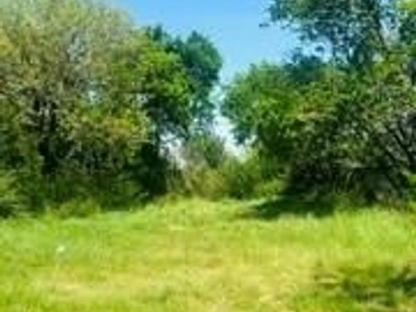 1601 Avenue D , Fort Worth, TX 76104