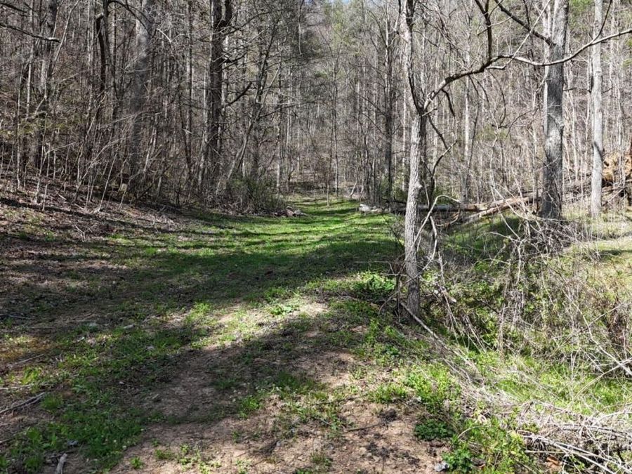 Property Image 11