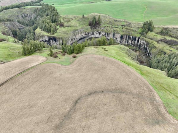 TBD Younger Rd, Craigmont, ID 83523