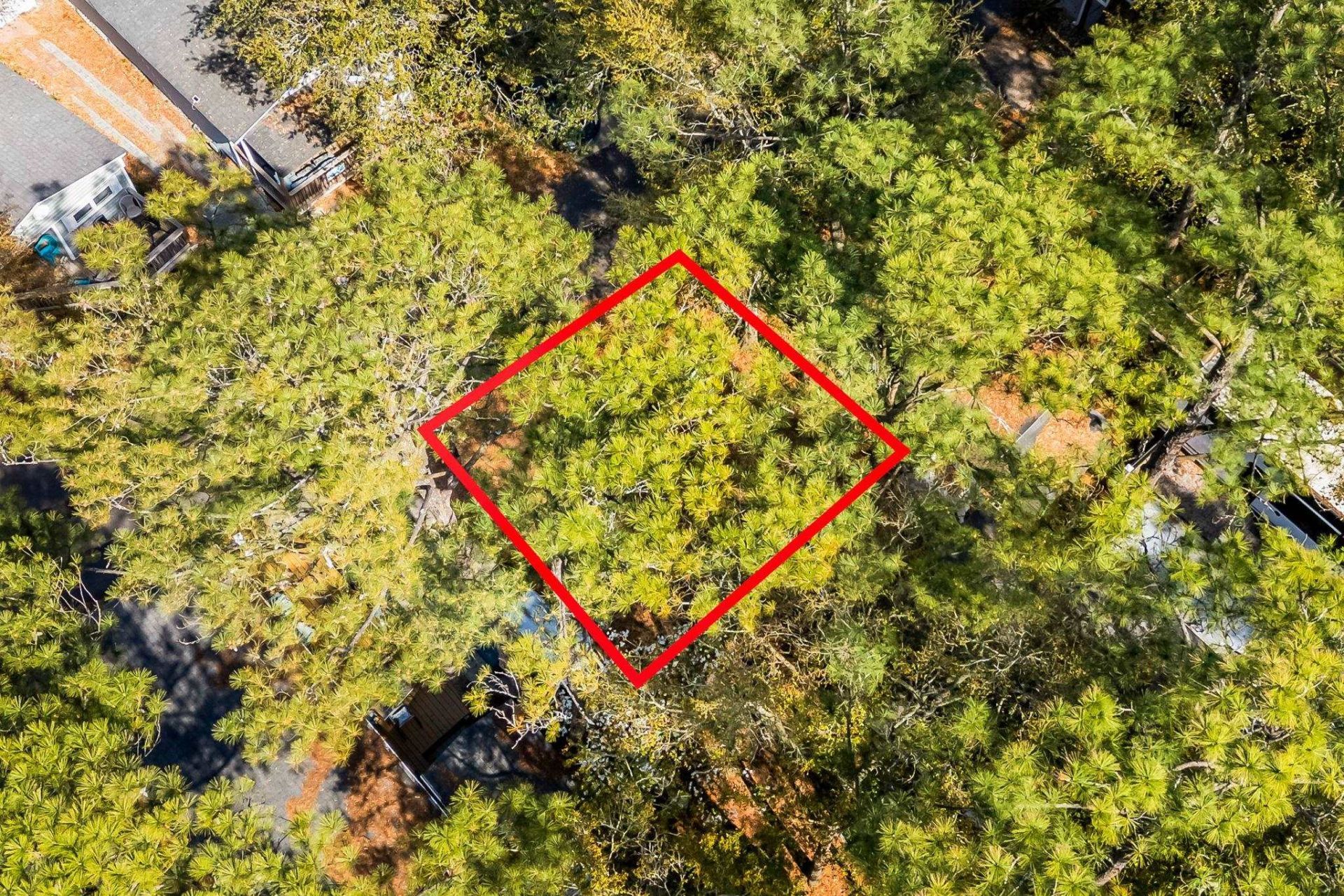 6001 - 1248 S Kings Hwy.  Photo 6