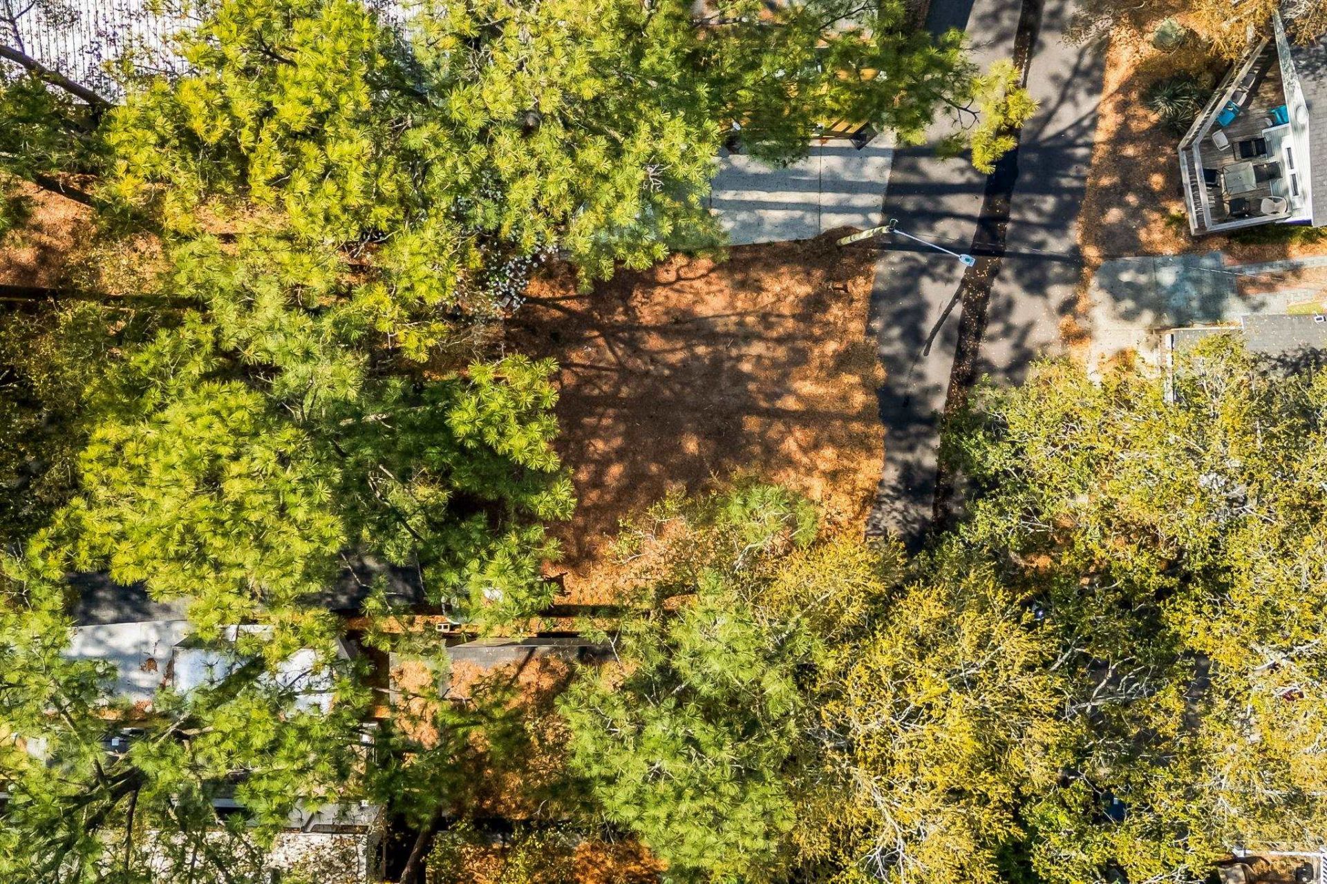 6001 - 1248 S Kings Hwy.  Photo 9