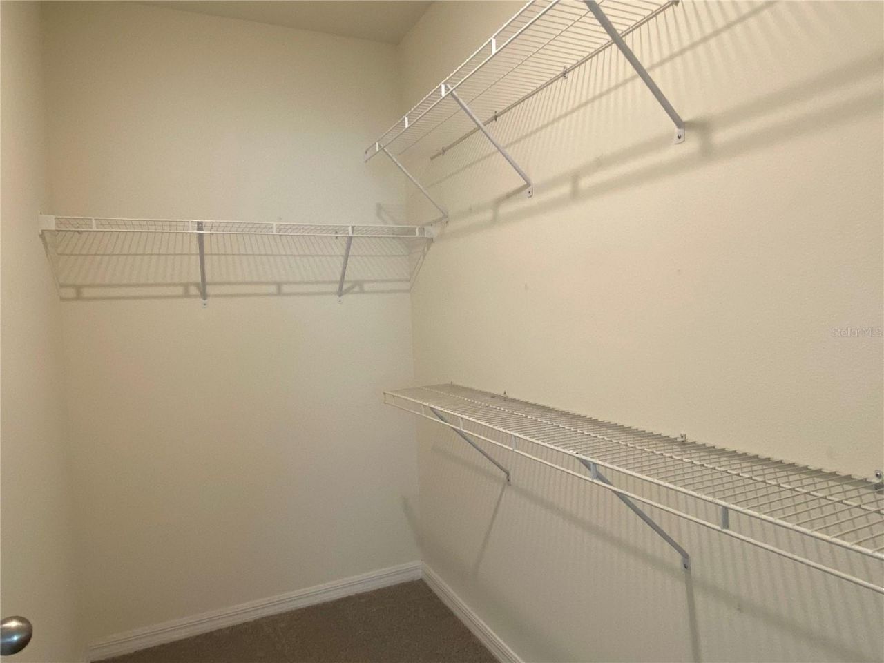 33801 Jasmine Star Loop, Wesley Chapel, FL 33543 Photo