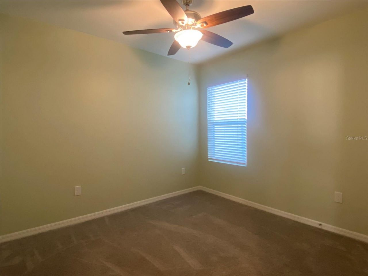 33801 Jasmine Star Loop, Wesley Chapel, FL 33543 Photo