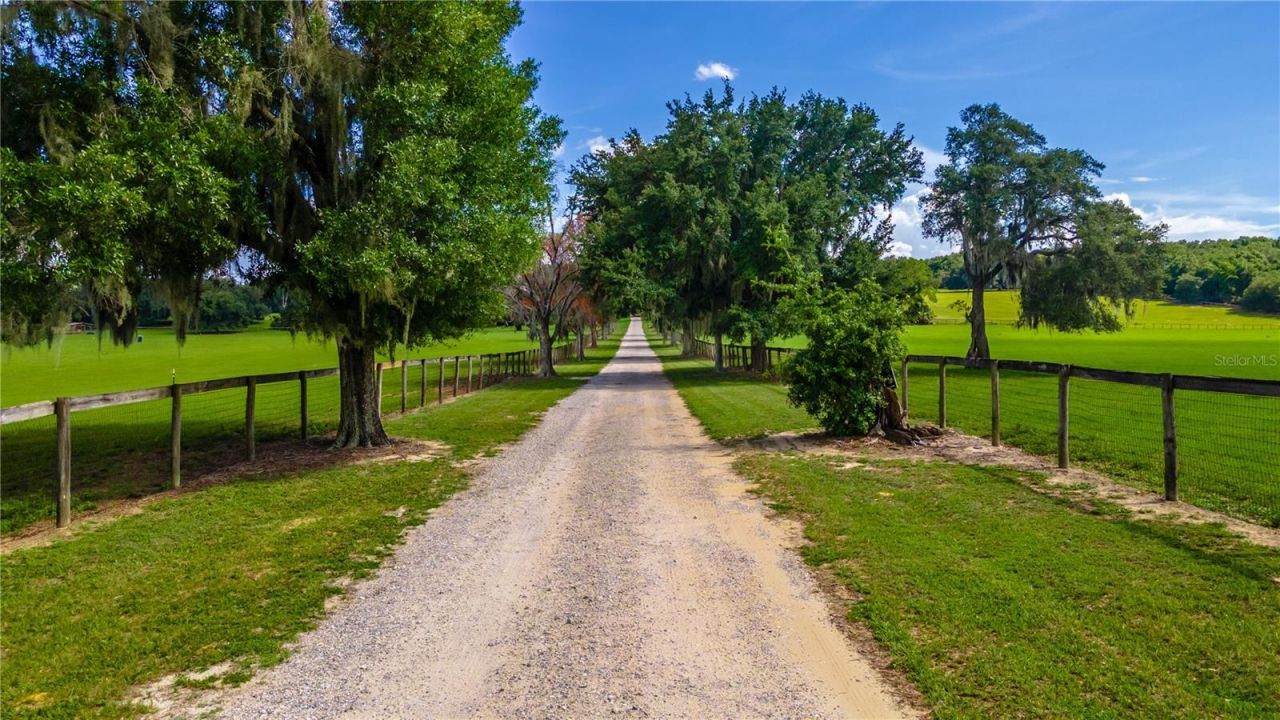 23100 SE Highway 42, Umatilla, FL 32784 Photo