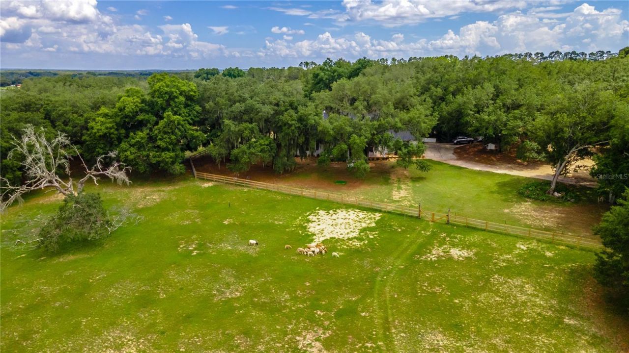 23100 SE Highway 42, Umatilla, FL 32784 Photo