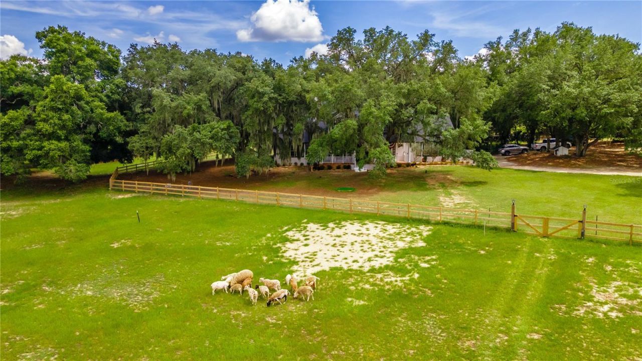 23100 SE Highway 42, Umatilla, FL 32784 Photo