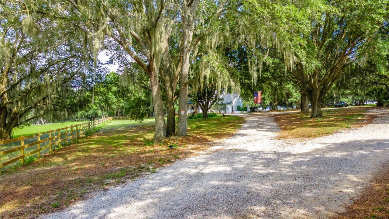 23100 SE Highway 42, Umatilla, FL 32784 Photo