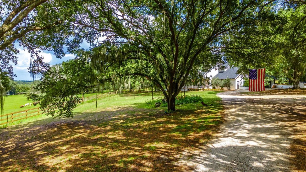 23100 SE Highway 42, Umatilla, FL 32784 Photo