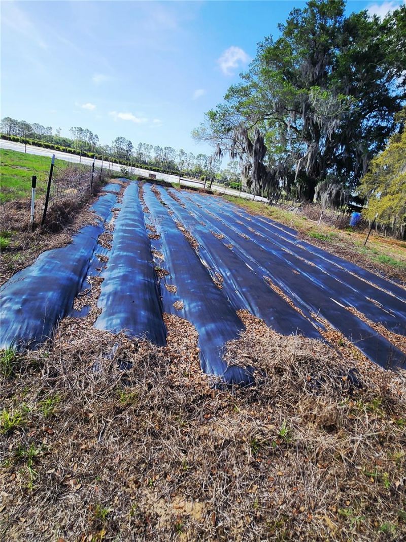 23100 SE Highway 42, Umatilla, FL 32784 Photo