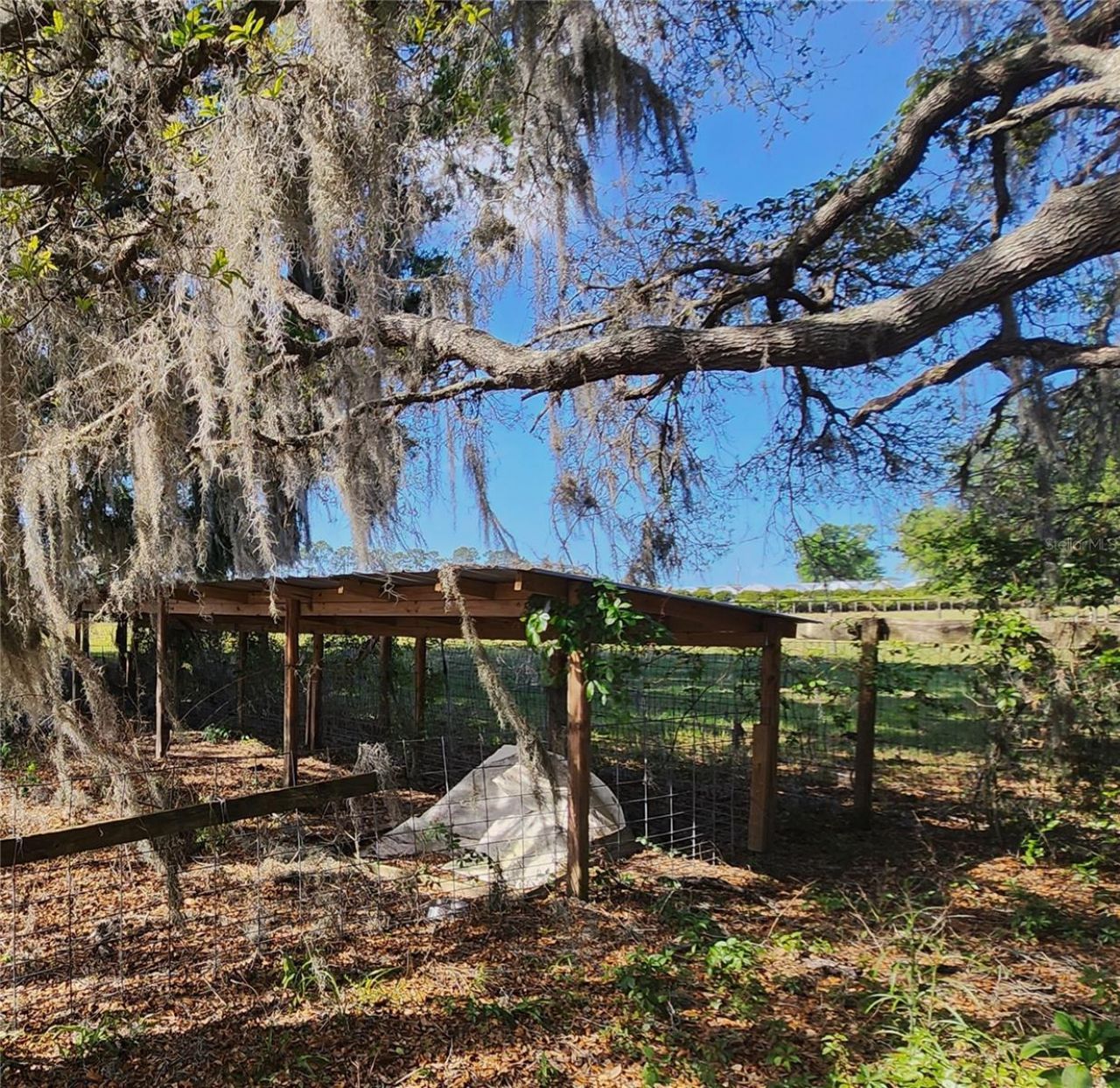 23100 SE Highway 42, Umatilla, FL 32784 Photo