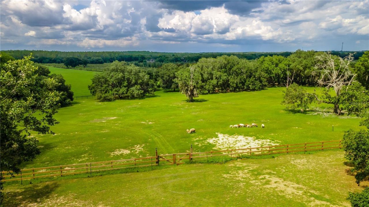 23100 SE Highway 42, Umatilla, FL 32784 Photo