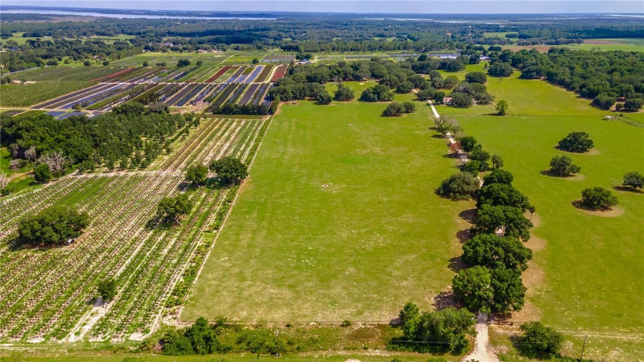 23100 SE Highway 42, Umatilla, FL 32784 Photo