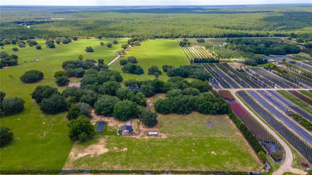23100 SE Highway 42, Umatilla, FL 32784 Photo