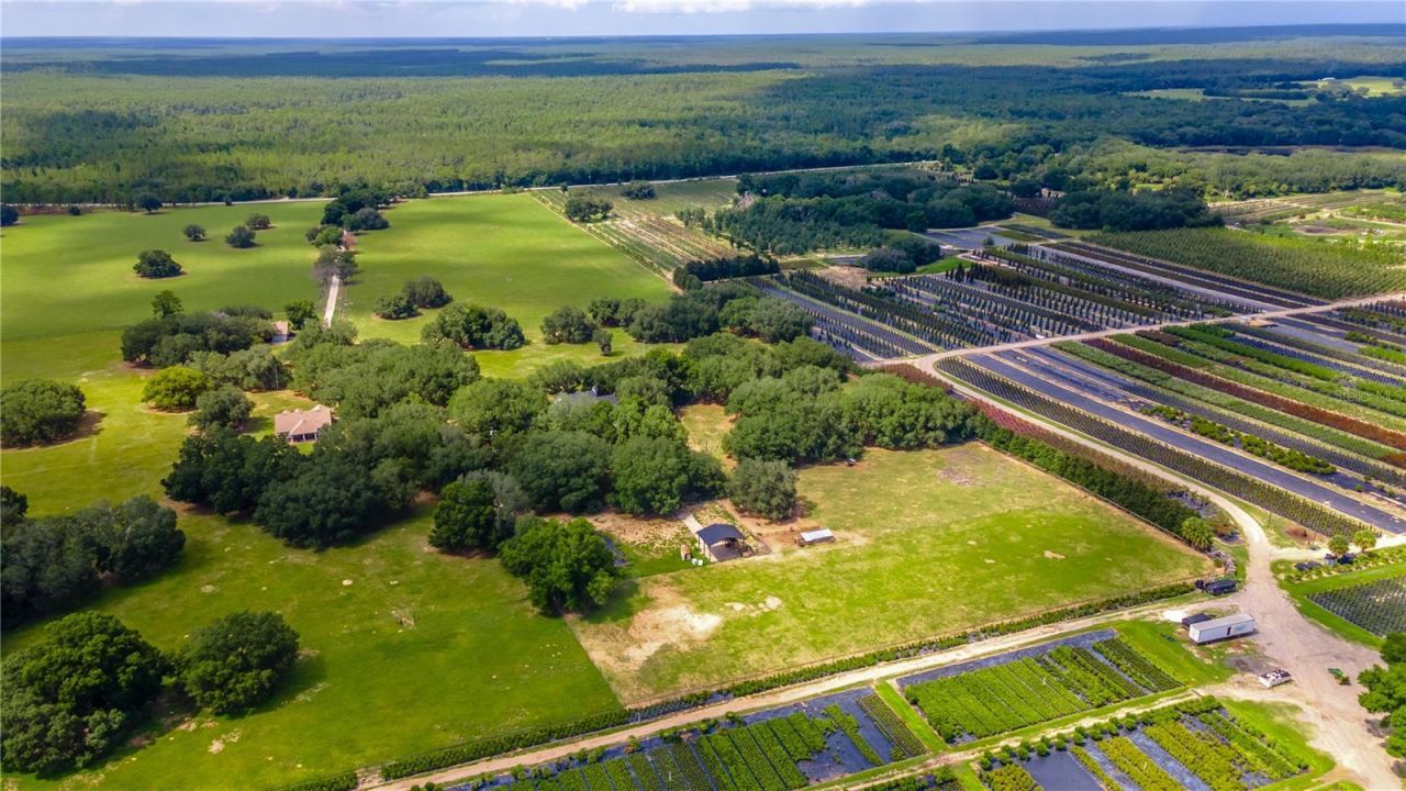 23100 SE Highway 42, Umatilla, FL 32784 Photo