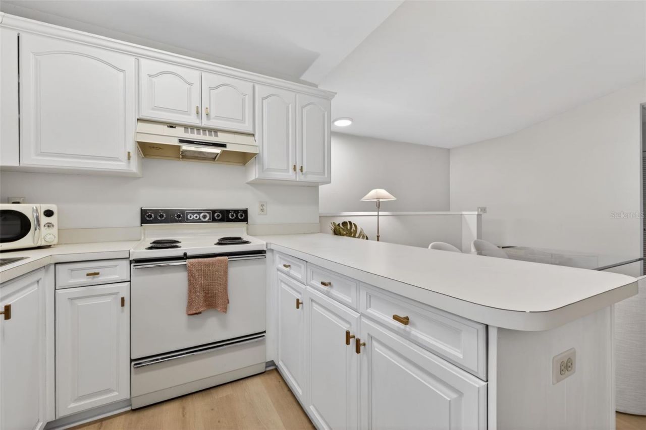 492 Santa Cruz Place Ne, Unit E, Saint Petersburg, FL 33703 Photo