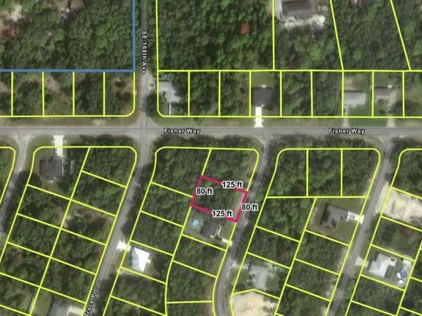 TBD SE FISHER WAY PL , OCKLAWAHA, FL 32179