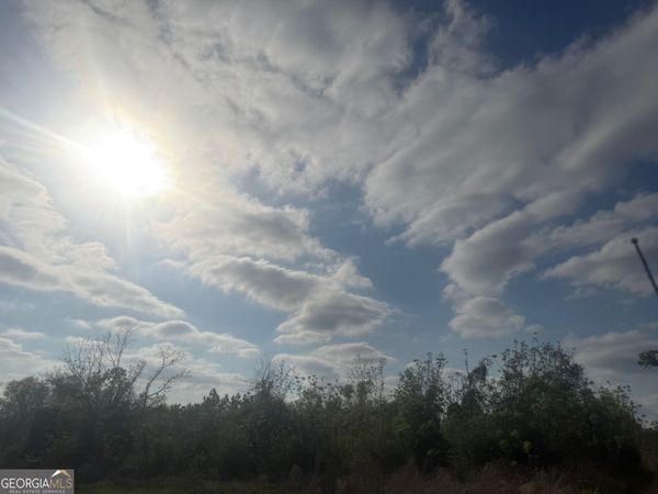 00 Ed Varnadoe Road, Lumber City, GA 31549