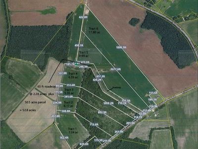 TBD Tract 3 Trinidad Ard Rd, Coward, SC 29530