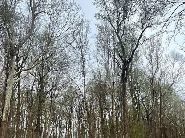 0 County Road 351 , Scott City, MO 63780