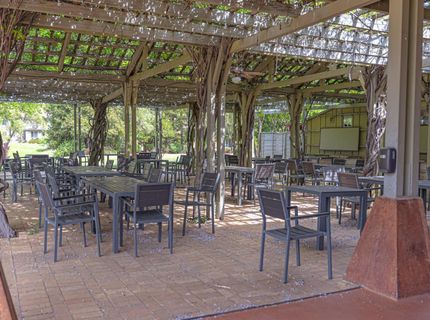 264 Blair Mine, Angels Camp, CA 95222 Photo