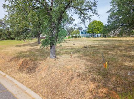 264 Blair Mine, Angels Camp, CA 95222 Photo