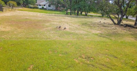 264 Blair Mine, Angels Camp, CA 95222 Photo