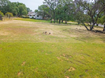 264 Blair Mine, Angels Camp, CA 95222 Photo