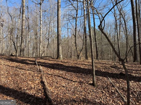 131 Nicholson Lane, Talking Rock, GA 30175